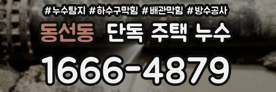 동선동 단독 주택 누수