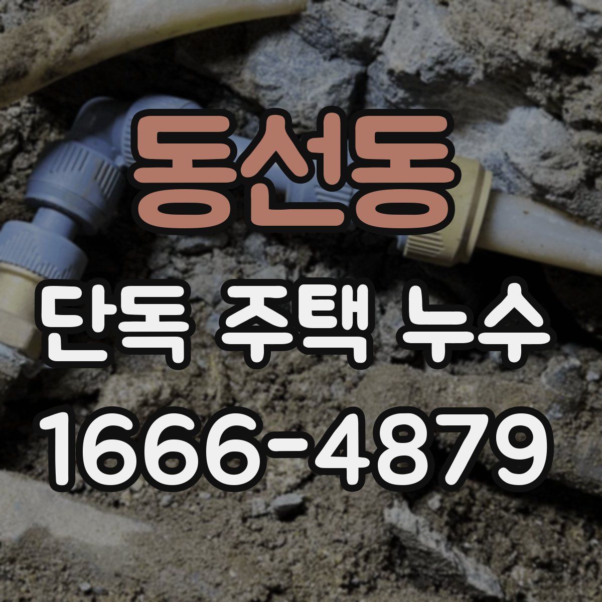 동선동 단독 주택 누수