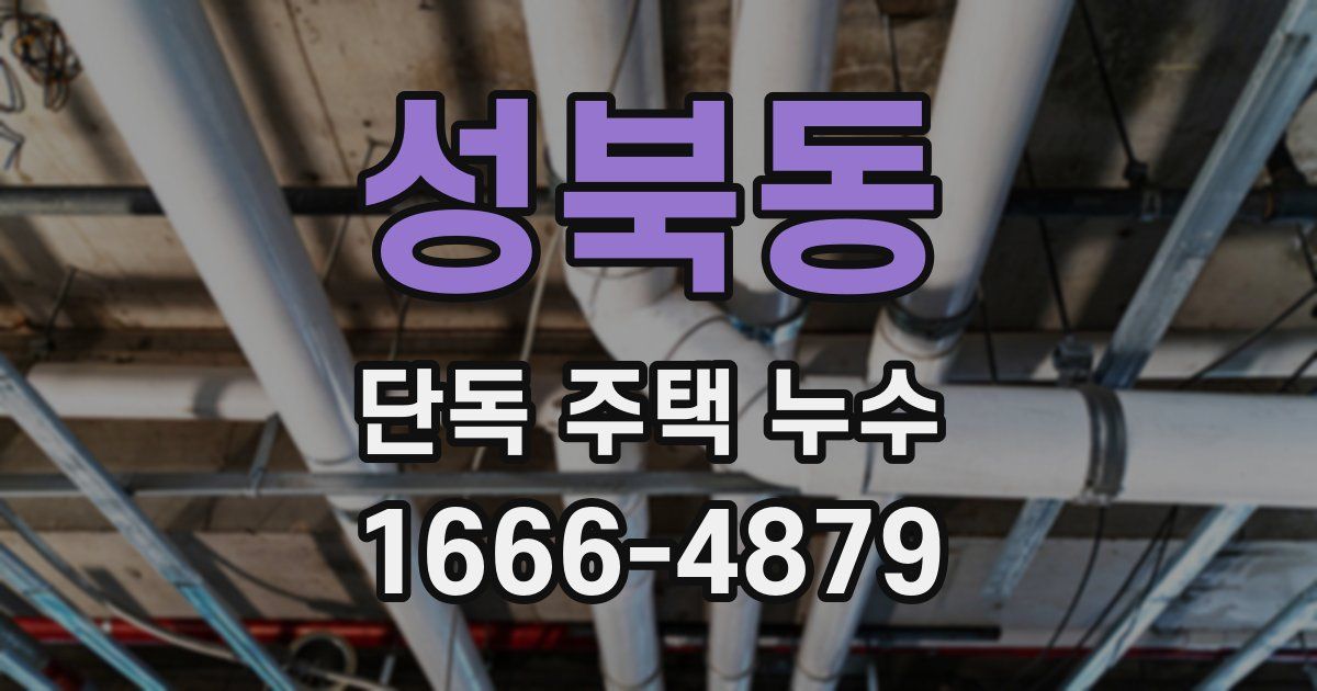 성북동 단독 주택 누수