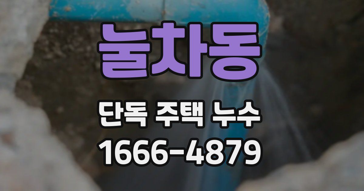 눌차동 단독 주택 누수