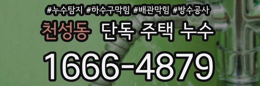천성동 단독 주택 누수