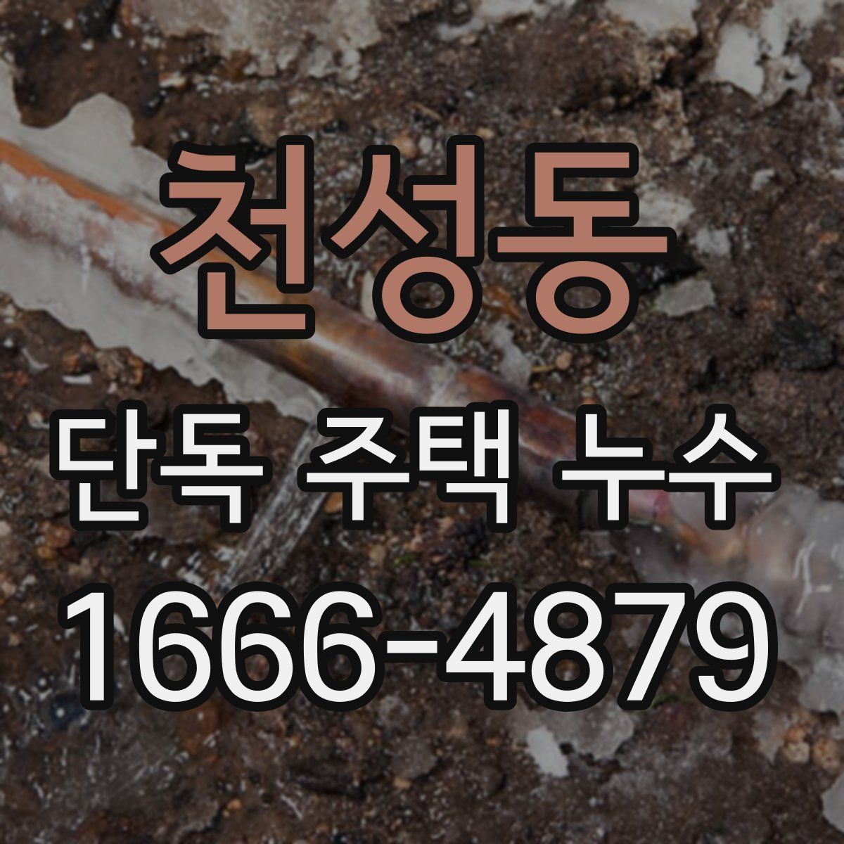 천성동 단독 주택 누수