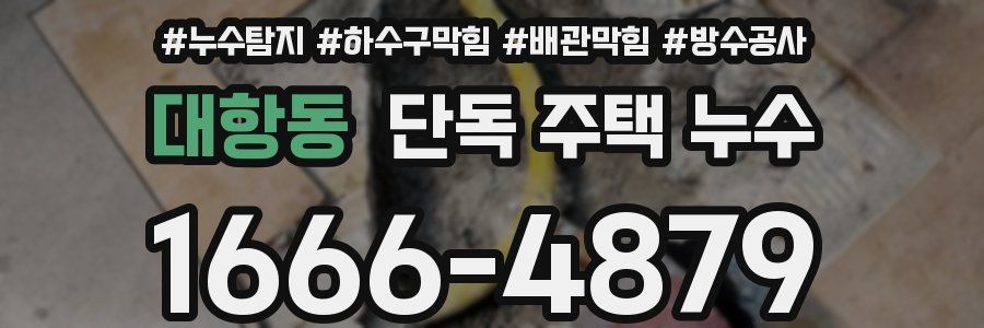 대항동 단독 주택 누수
