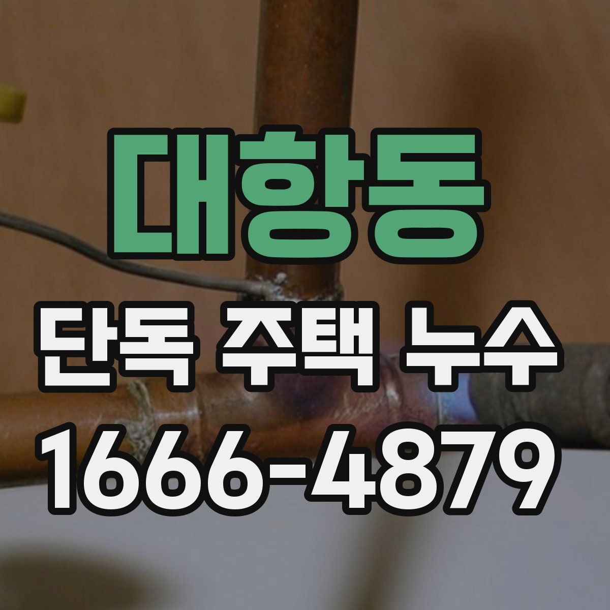 대항동 단독 주택 누수