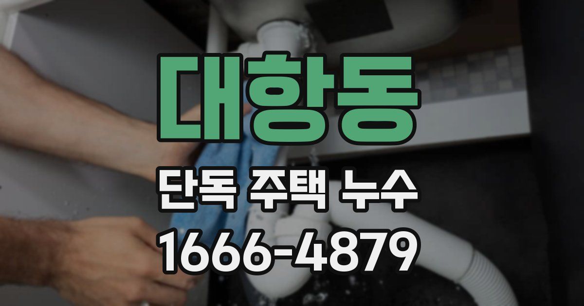 대항동 단독 주택 누수