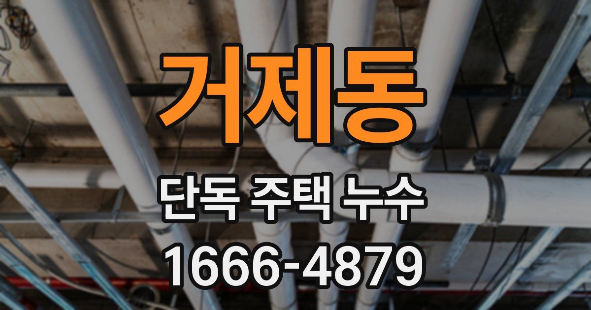 거제동 단독 주택 누수