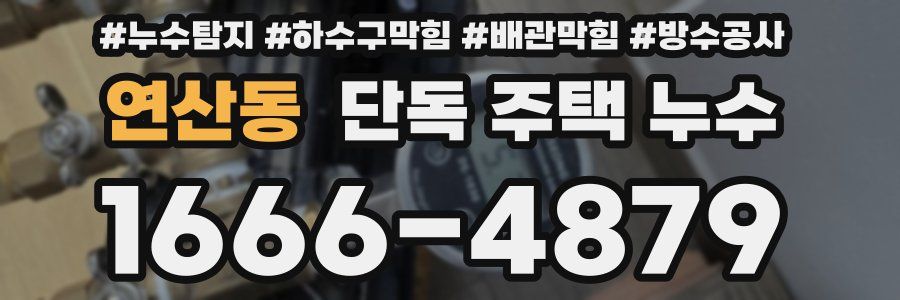 연산동 단독 주택 누수