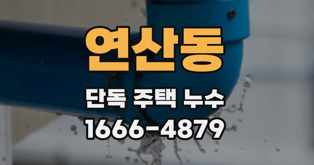 연산동 단독 주택 누수
