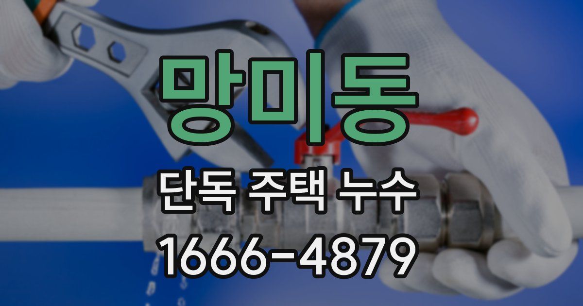망미동 단독 주택 누수