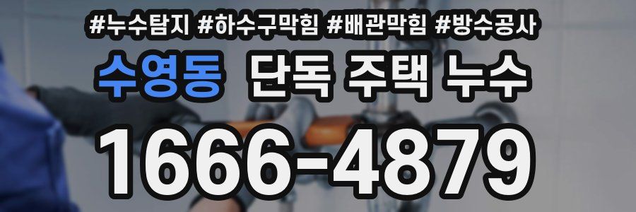 수영동 단독 주택 누수