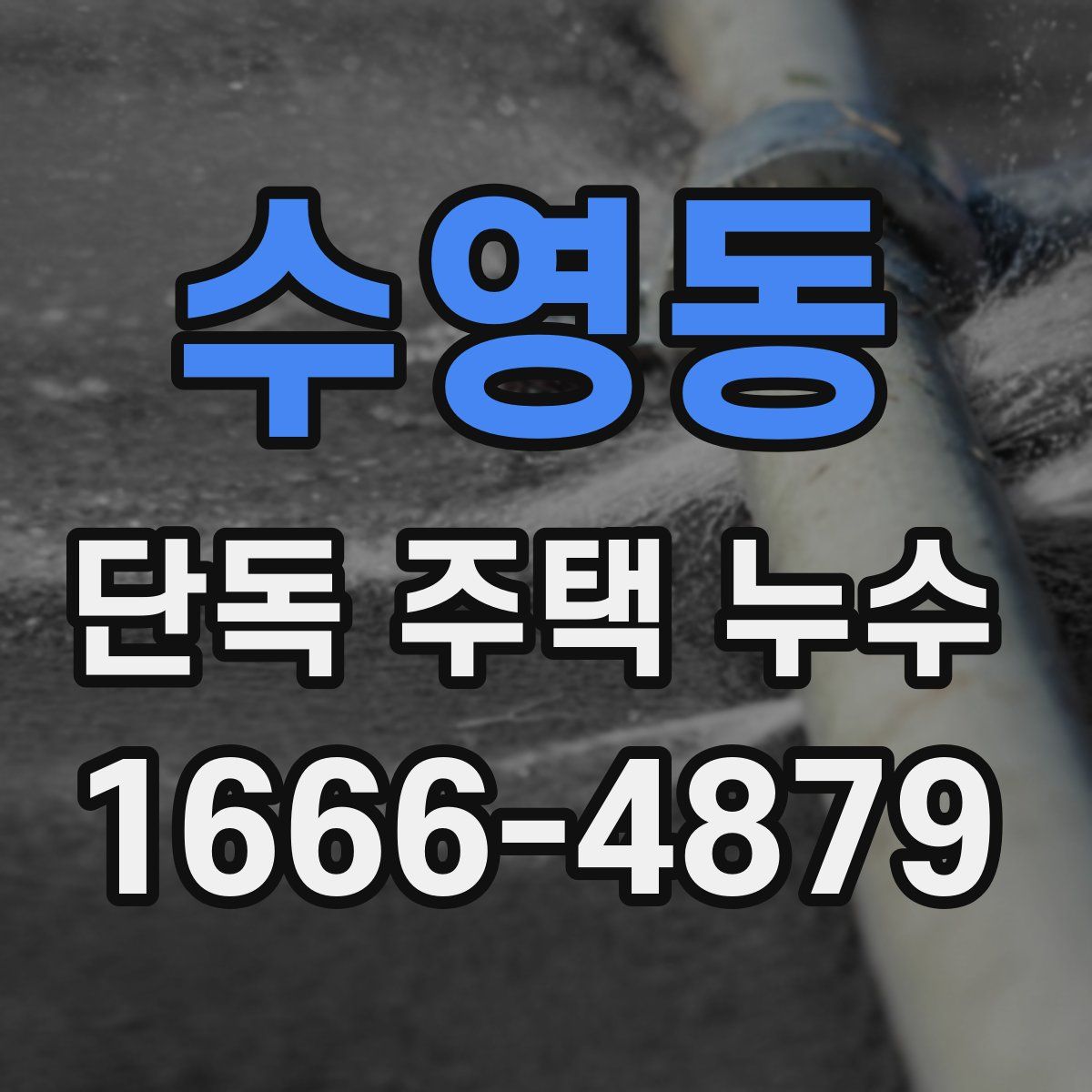 수영동 단독 주택 누수