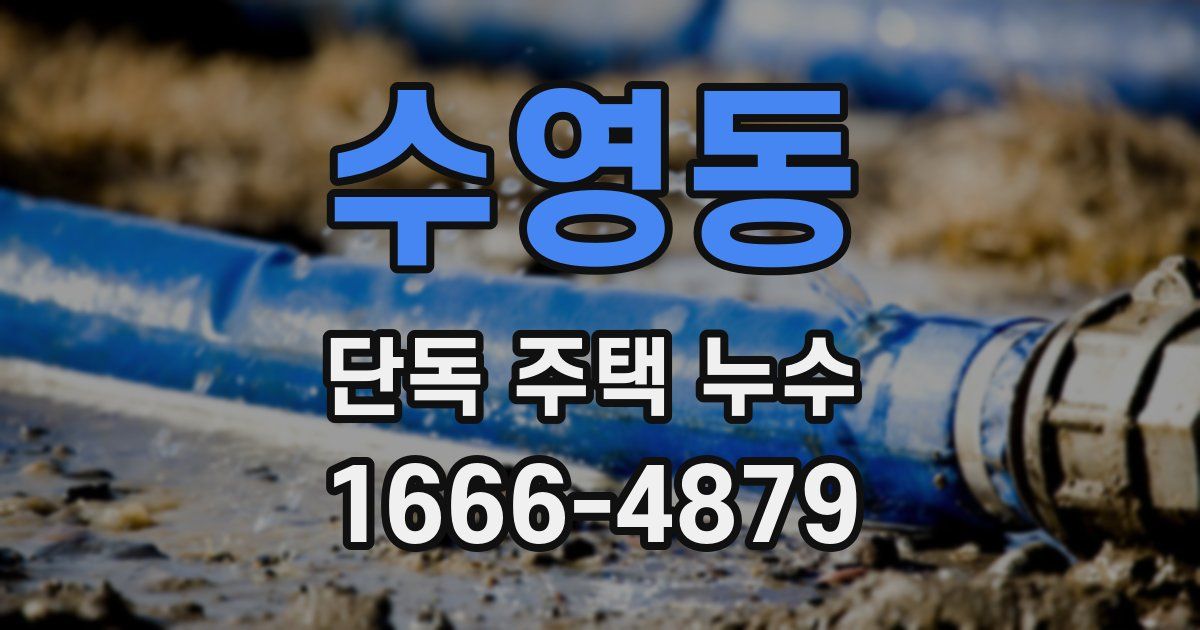 수영동 단독 주택 누수