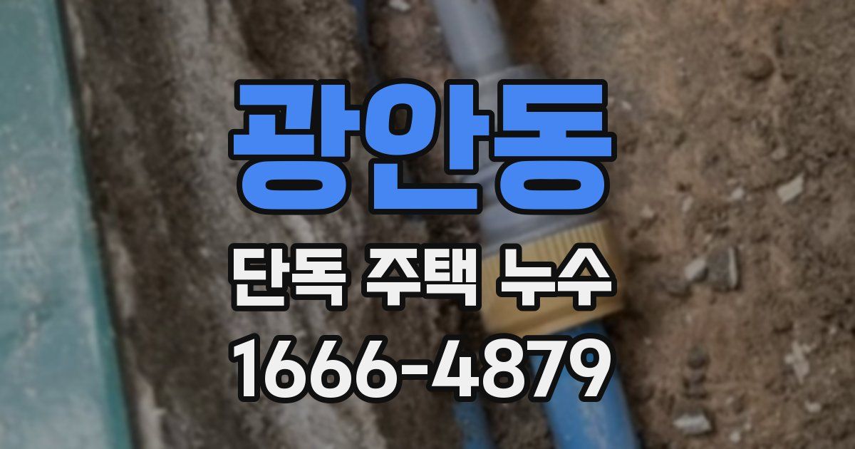 광안동 단독 주택 누수