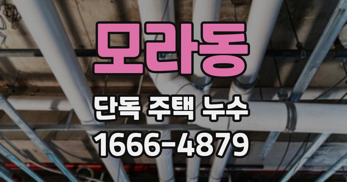 모라동 단독 주택 누수