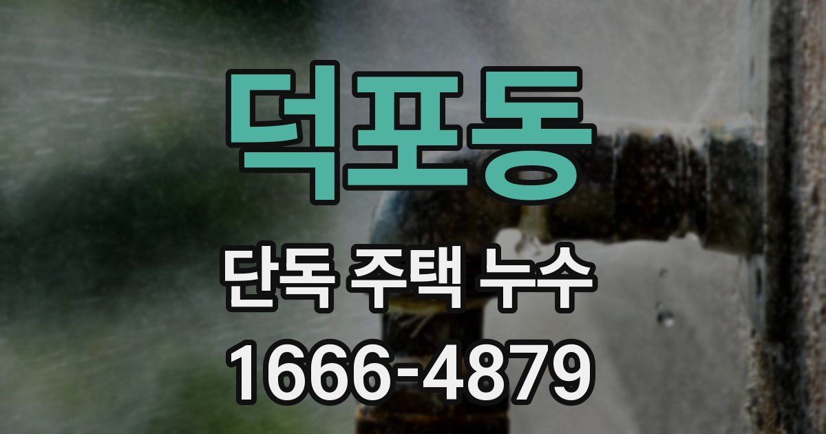 덕포동 단독 주택 누수