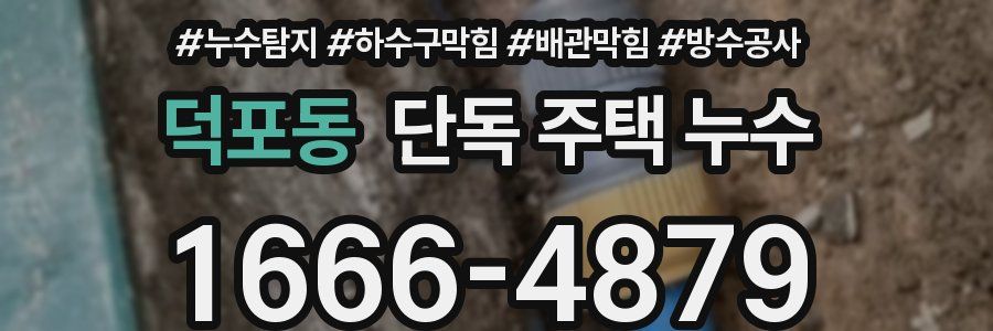 덕포동 단독 주택 누수