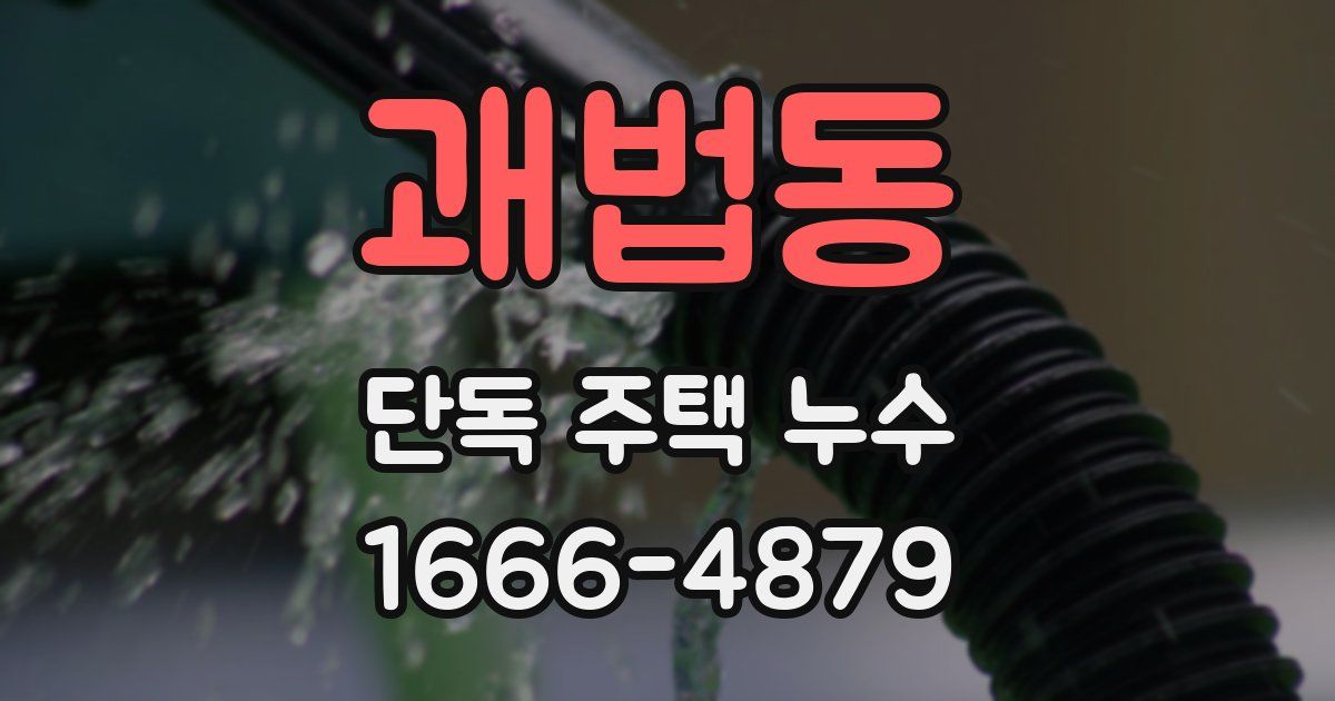 괘법동 단독 주택 누수