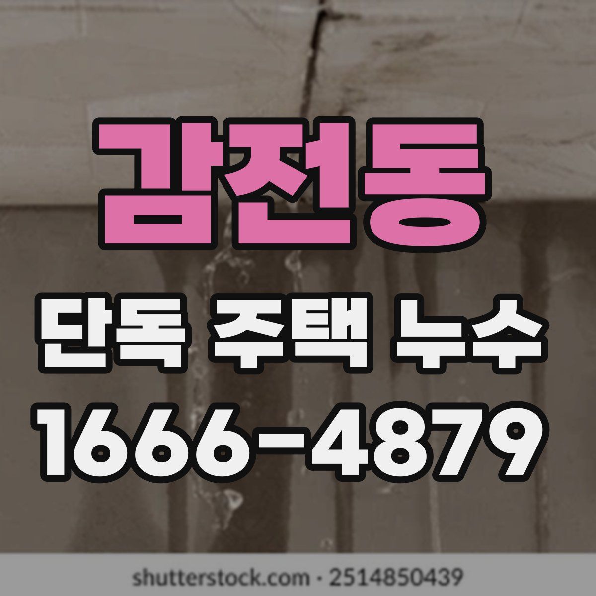 감전동 단독 주택 누수
