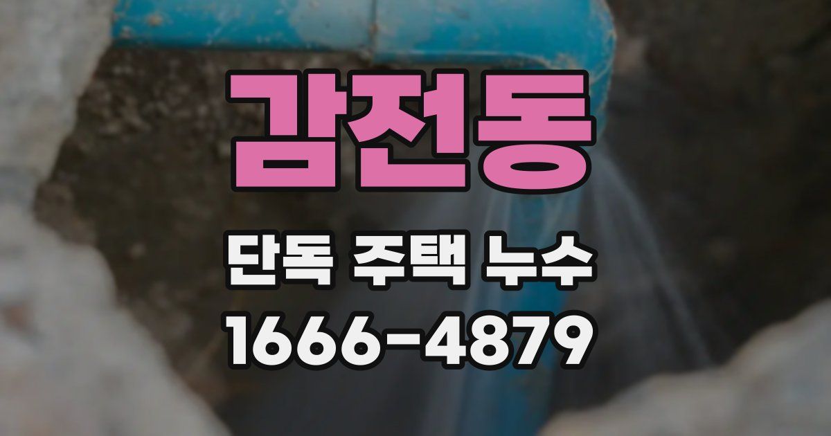 감전동 단독 주택 누수