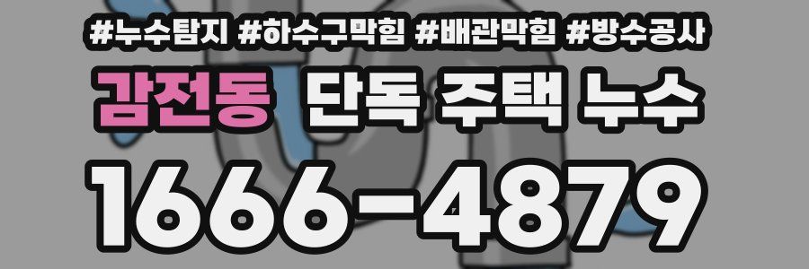 감전동 단독 주택 누수