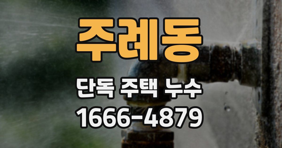 주례동 단독 주택 누수