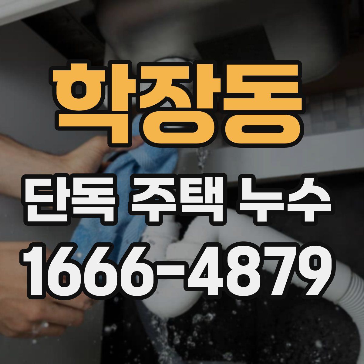 학장동 단독 주택 누수