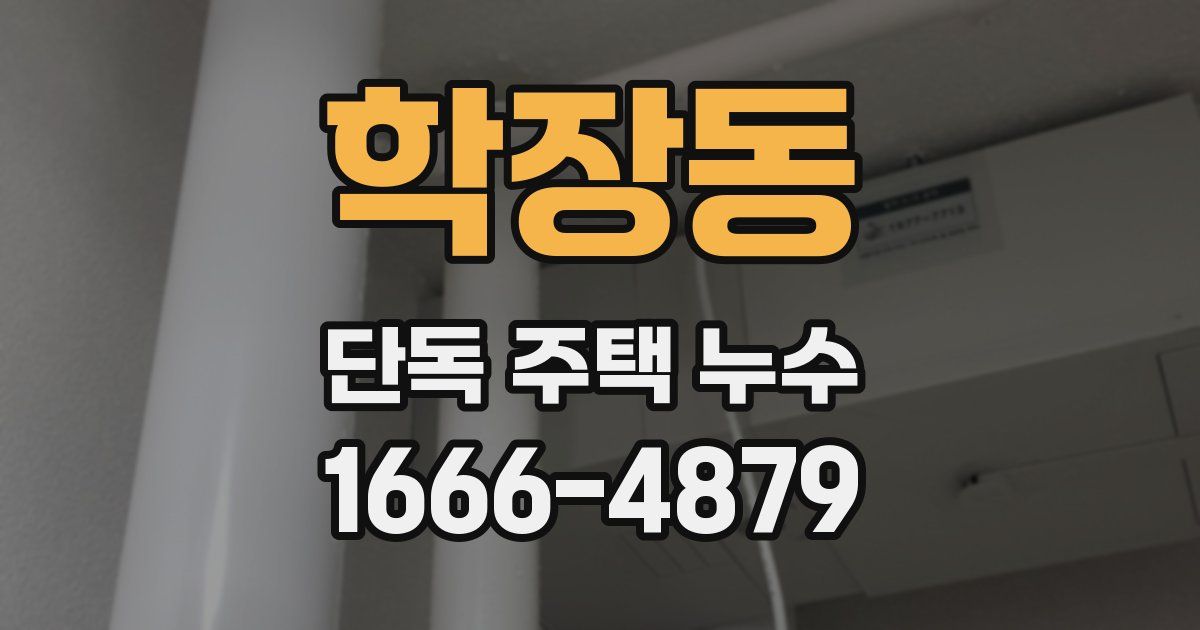 학장동 단독 주택 누수
