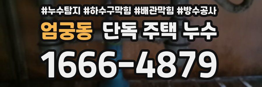엄궁동 단독 주택 누수