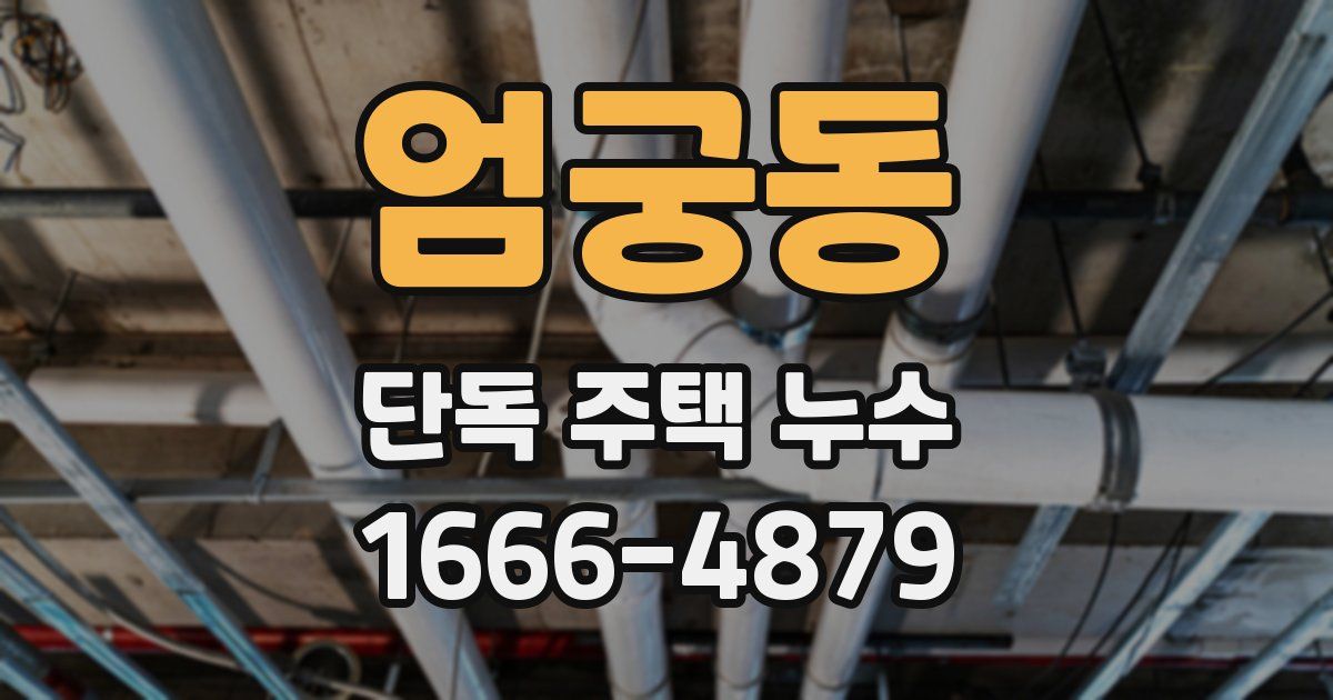 엄궁동 단독 주택 누수