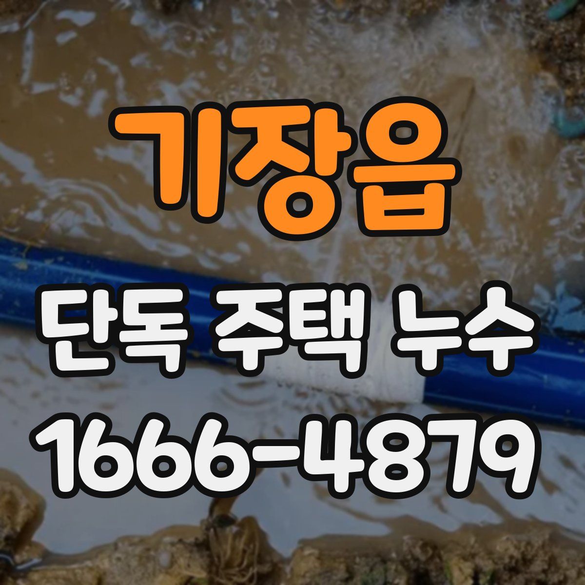 기장읍 단독 주택 누수