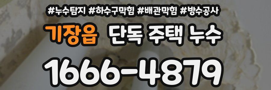 기장읍 단독 주택 누수