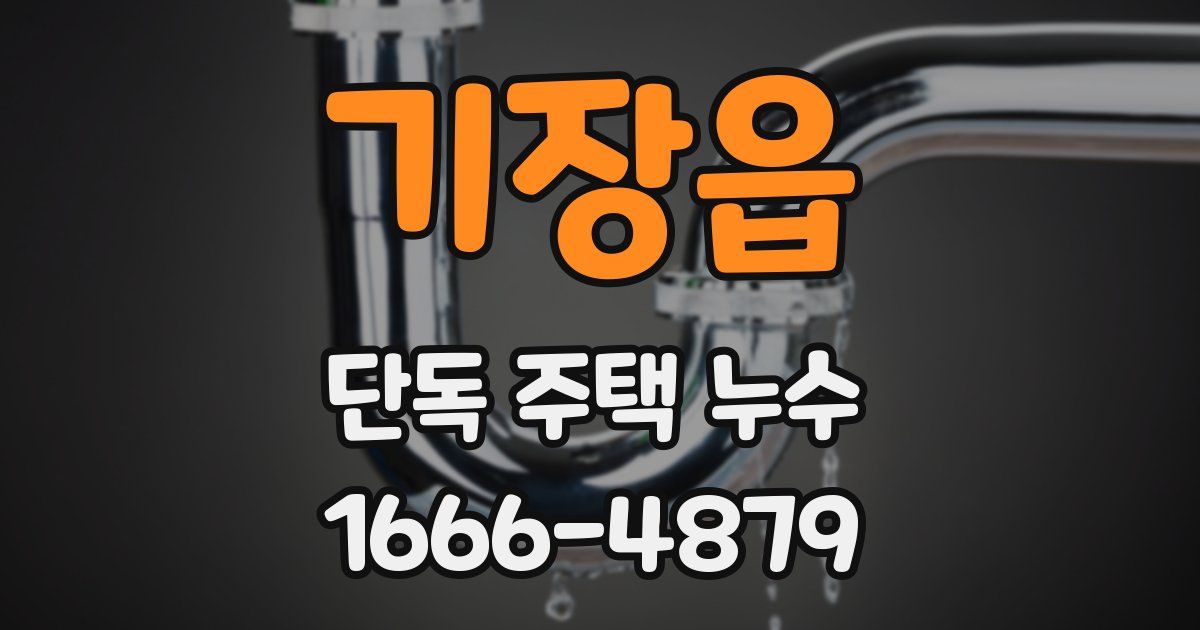 기장읍 단독 주택 누수