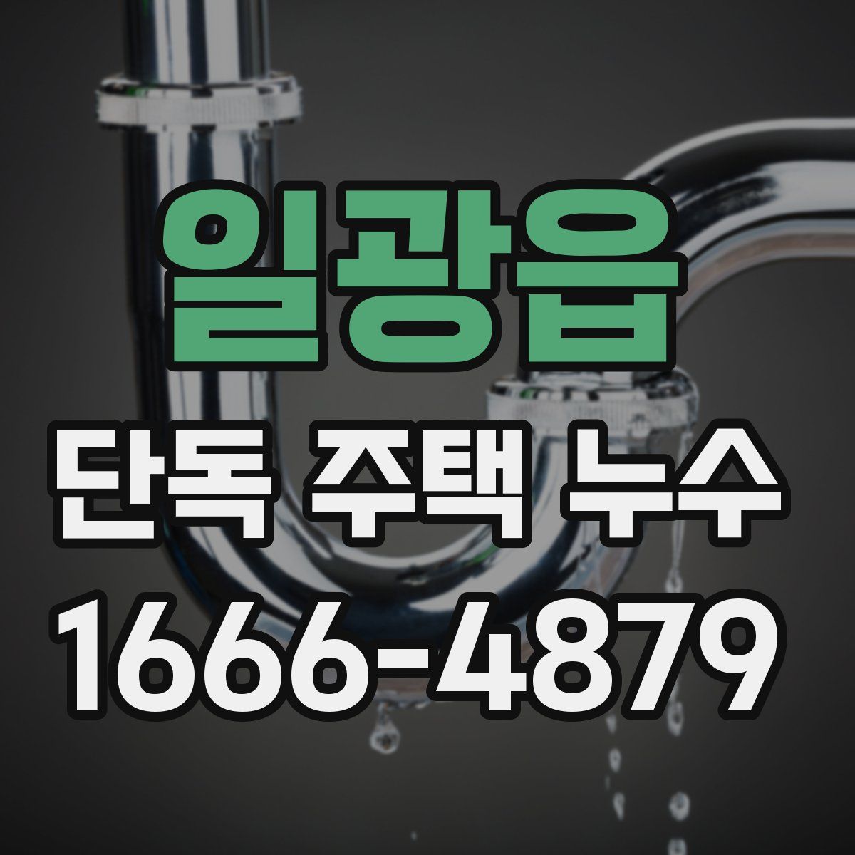 일광읍 단독 주택 누수