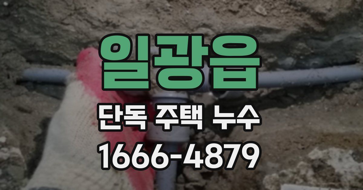일광읍 단독 주택 누수
