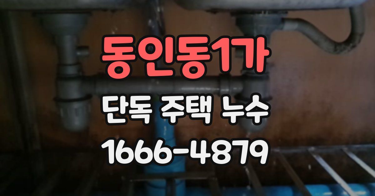 동인동1가 단독 주택 누수