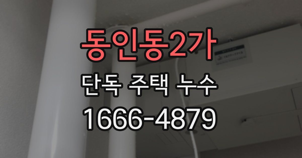 동인동2가 단독 주택 누수