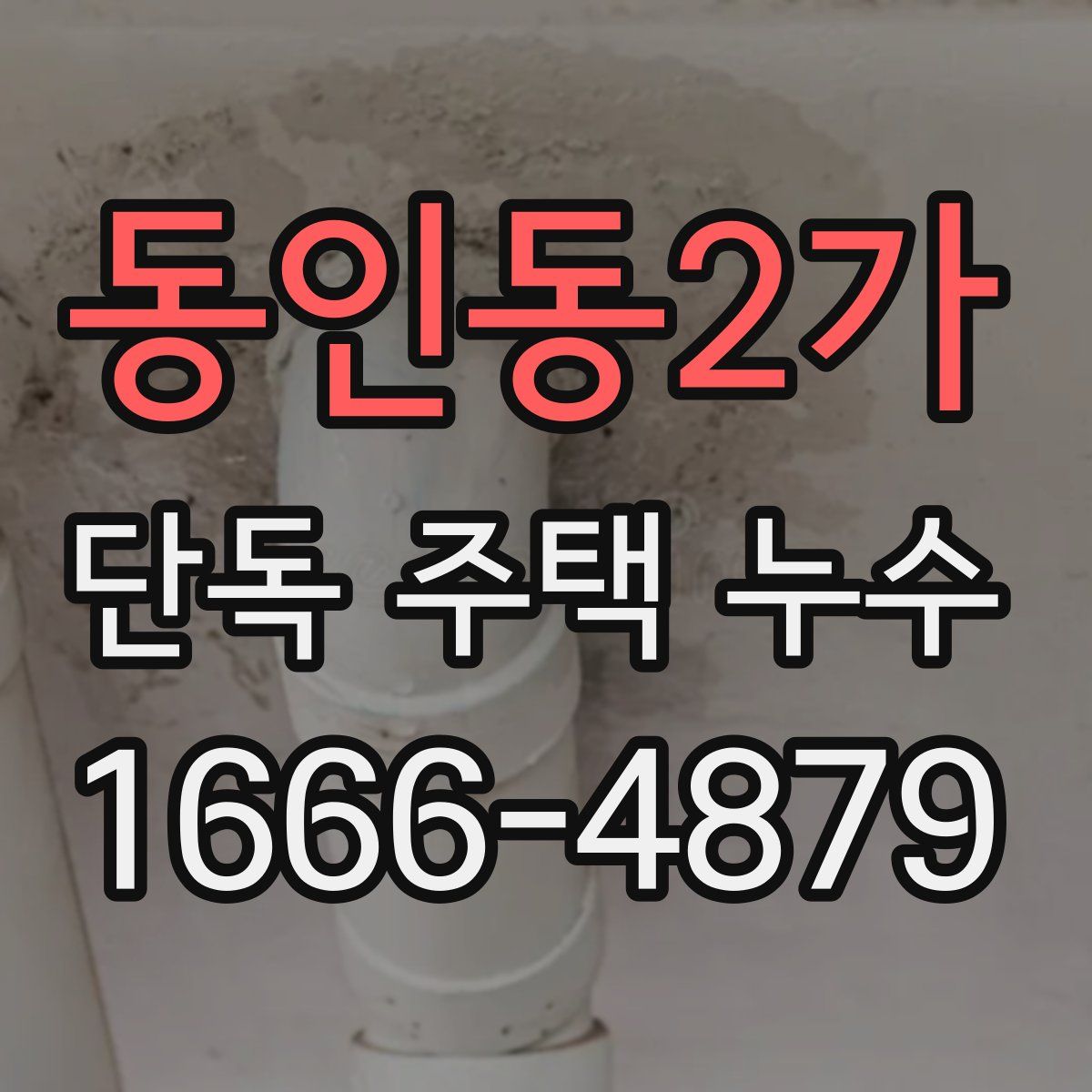 동인동2가 단독 주택 누수