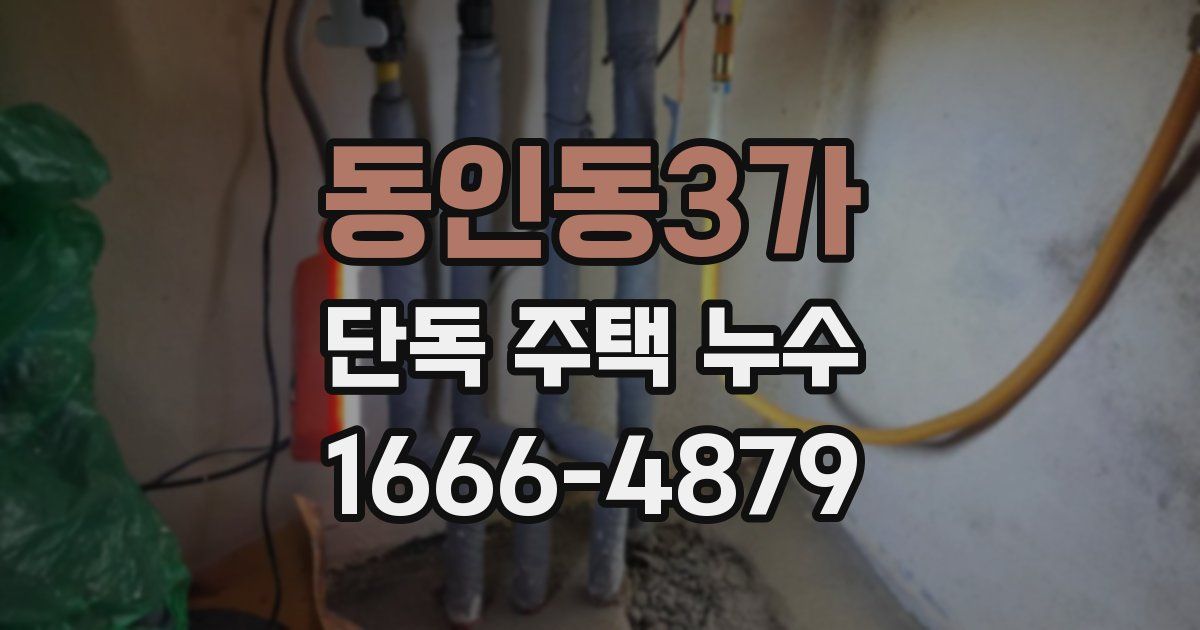 동인동3가 단독 주택 누수
