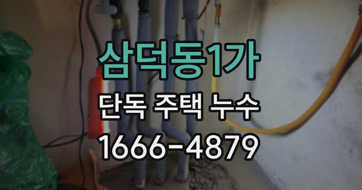 삼덕동1가 단독 주택 누수