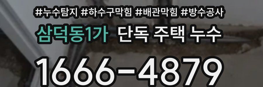 삼덕동1가 단독 주택 누수