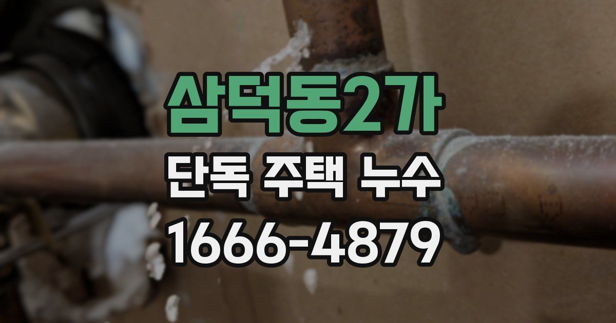 삼덕동2가 단독 주택 누수