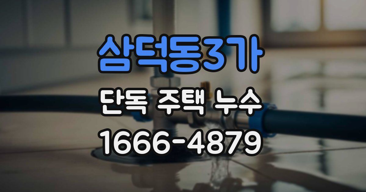 삼덕동3가 단독 주택 누수