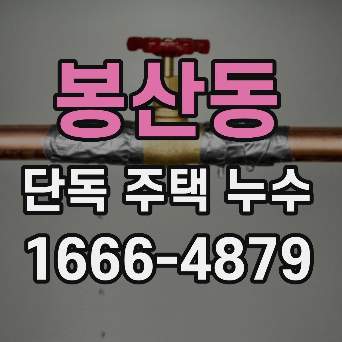 봉산동 단독 주택 누수