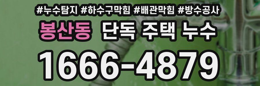 봉산동 단독 주택 누수
