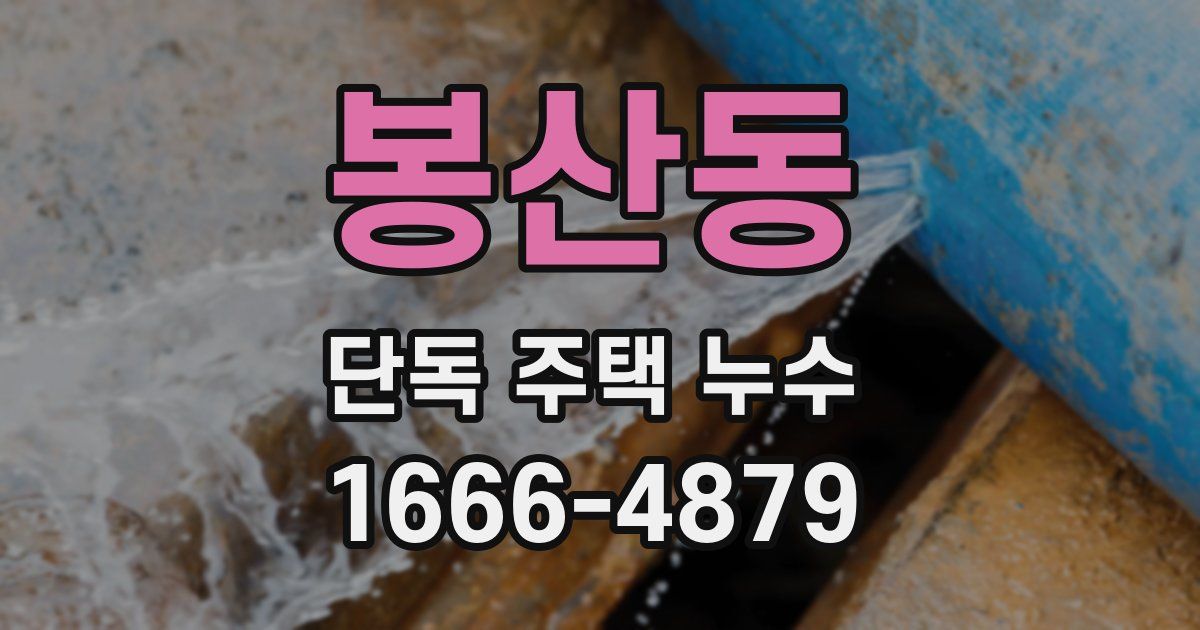 봉산동 단독 주택 누수