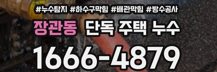 장관동 단독 주택 누수