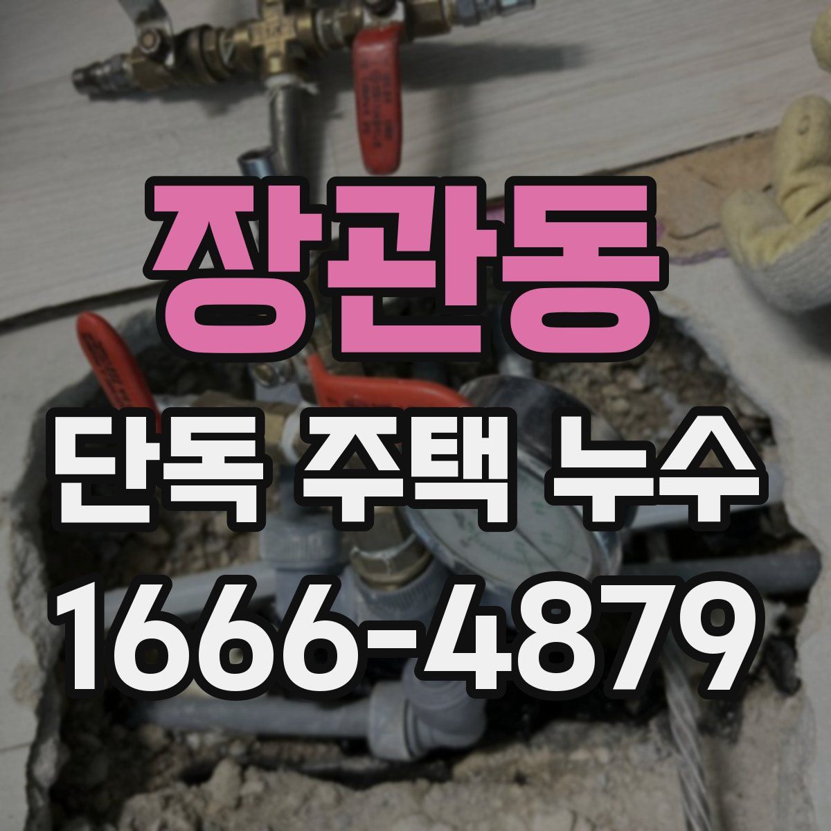 장관동 단독 주택 누수
