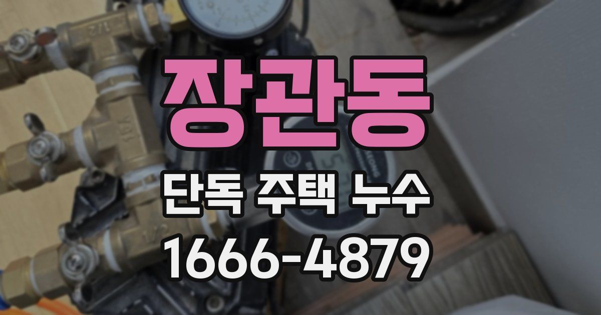 장관동 단독 주택 누수