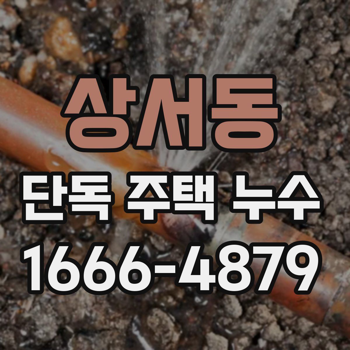상서동 단독 주택 누수