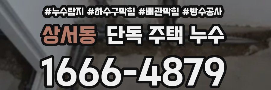 상서동 단독 주택 누수